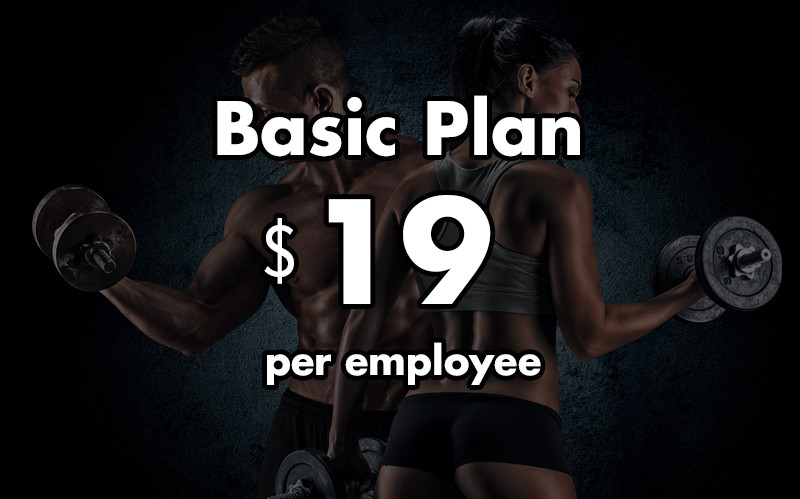 Basic Plan - $29 per Employee